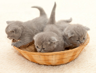 Similar image 509427