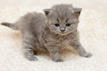 Similar image 509428