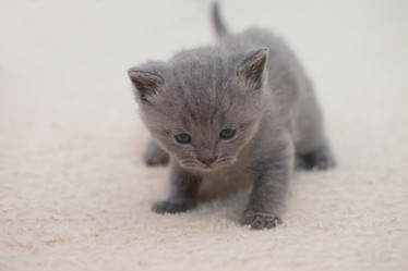 Similar image 509429