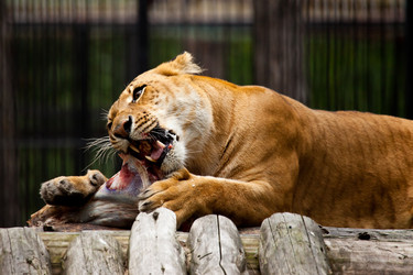 Similar image 509436