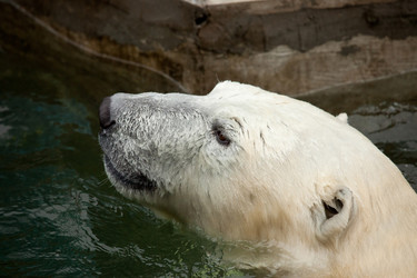 Similar image 509439