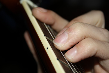 Similar image 509608