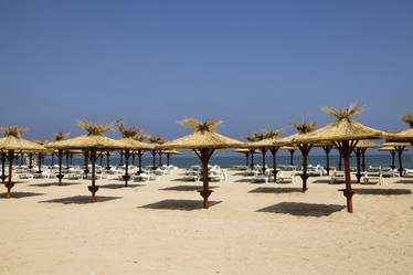 Similar image 509646