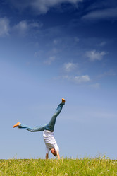 Similar image 509652