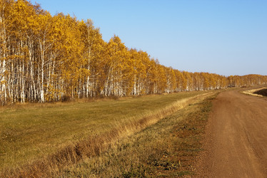 Similar image 509670