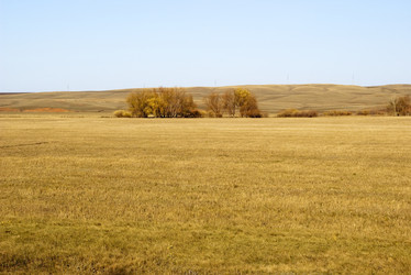 Similar image 509683