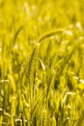 Similar image 509698