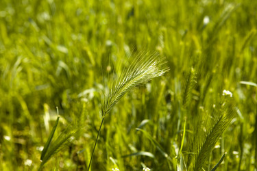 Similar image 509700