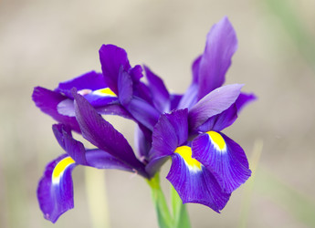 Similar image 509723