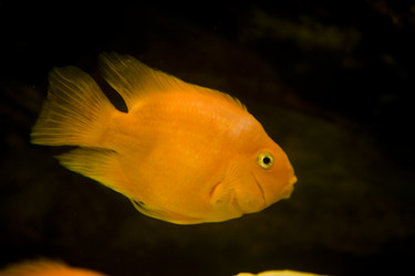 Similar image 509726