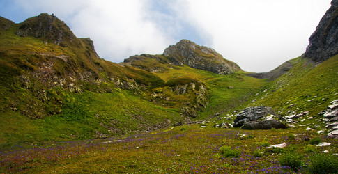 Similar image 509741