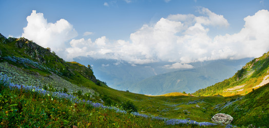 Similar image 509743