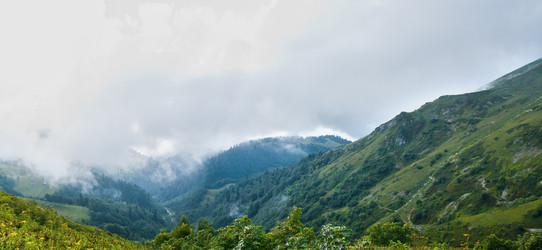 Similar image 509744