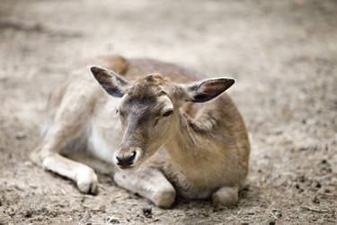 Similar image 509774