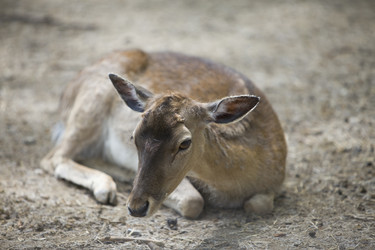 Similar image 509775