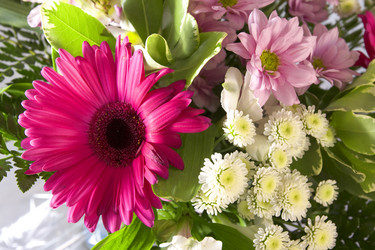 Similar image 509779