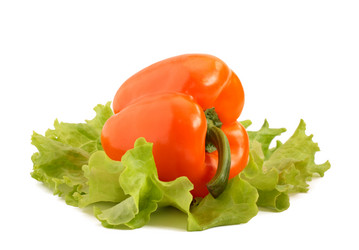 Similar image 509799