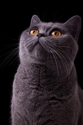 Similar image 509804