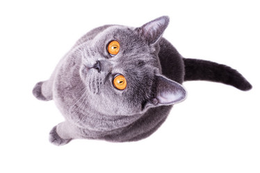 Similar image 509806