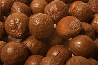 Similar image 509816