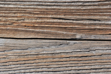 Similar image 509851