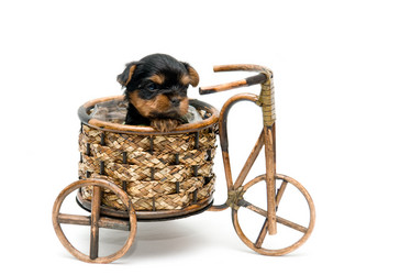 Similar image 509855