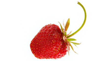 Similar image 509879