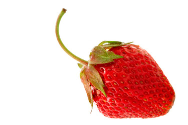 Similar image 509884