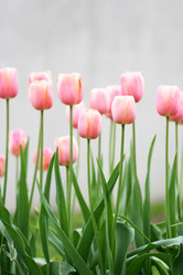 Similar image 509928