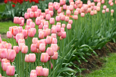 Similar image 509932