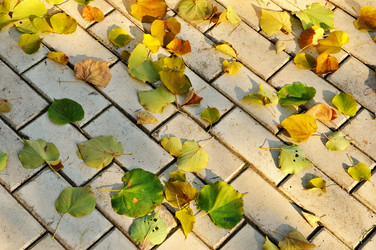 Similar image 509933