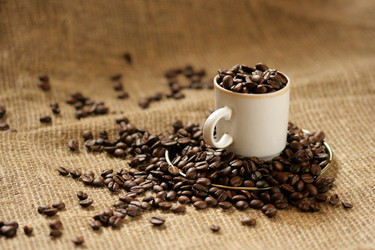 Similar image 509963