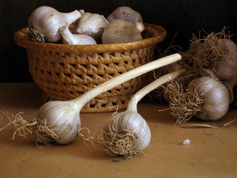 Similar image 510054