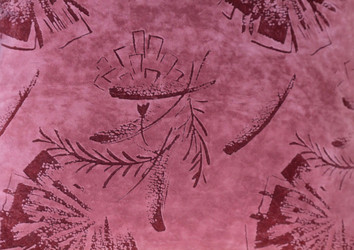 Similar image 510135