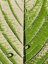 Similar image 510151