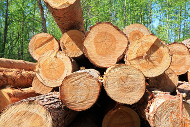 Similar image 510153