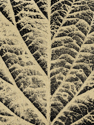 Similar image 510162