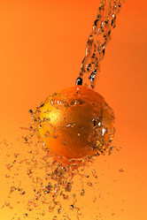 Similar image 510256