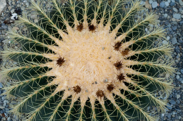 Similar image 510270