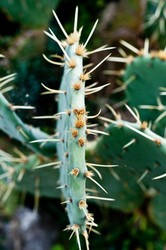 Similar image 510287