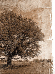 Similar image 510304