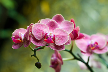 Similar image 510317