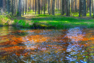 Similar image 510326