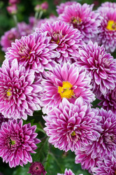 Similar image 510354