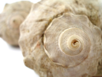 Similar image 510355