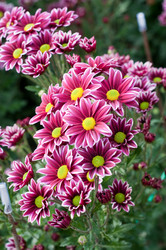 Similar image 510359