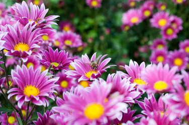 Similar image 510361