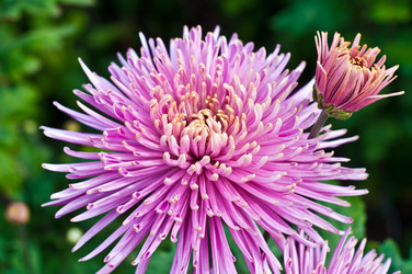 Similar image 510364