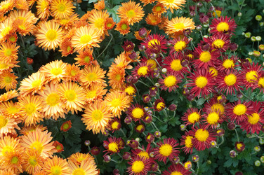 Similar image 510373