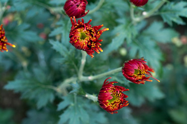 Similar image 510375